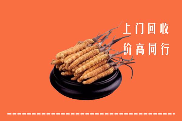 泌阳县回收散虫草