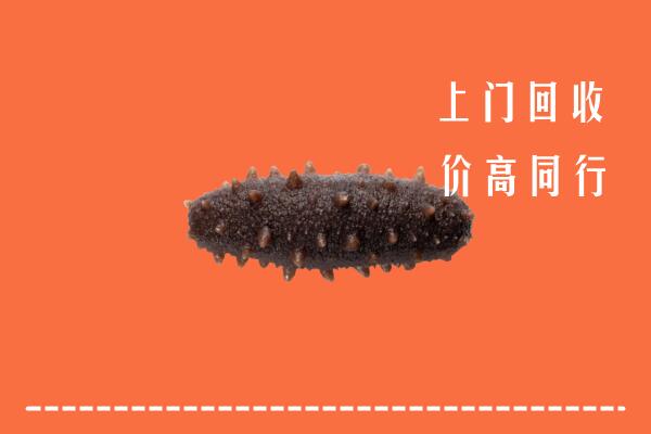 泌阳县回收海参