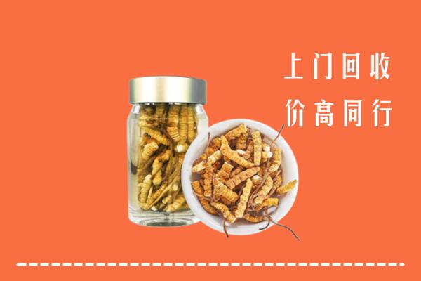 泌阳县回收冬虫夏草