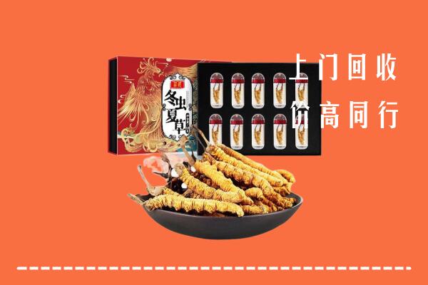 泌阳县回收虫草
